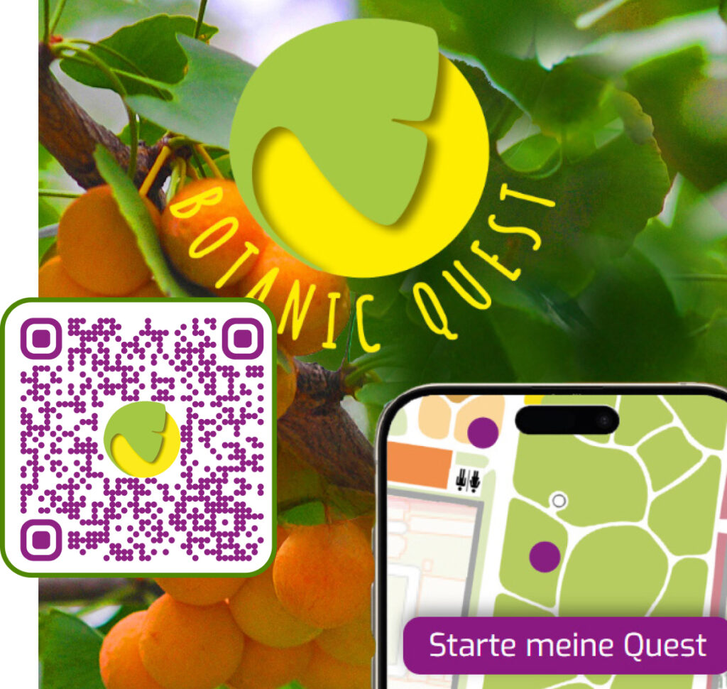 Quest Creator